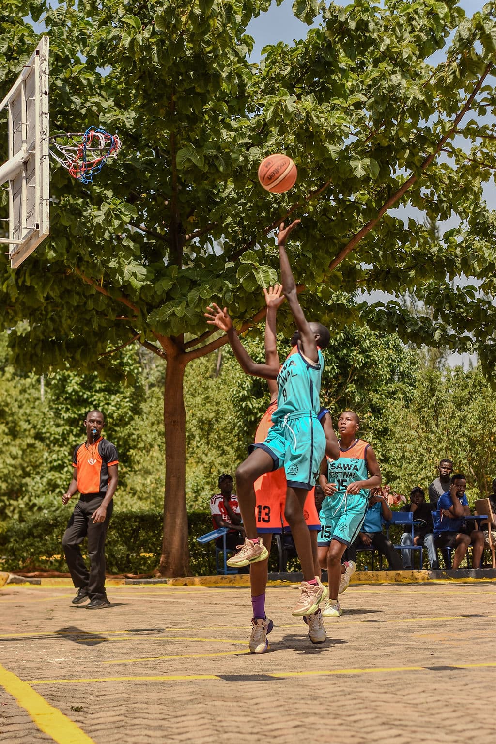 Championship Dunk